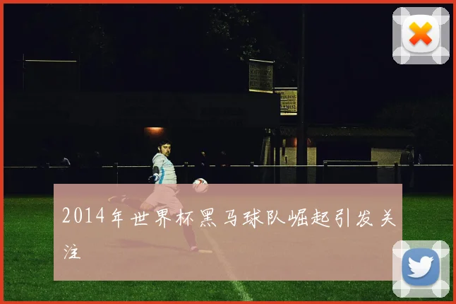 2014年世界杯黑马球队崛起引发关注