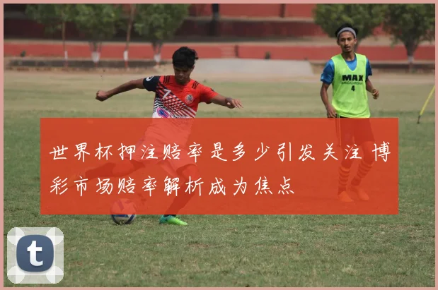 世界杯押注赔率是多少引发关注 博彩市场赔率解析成为焦点