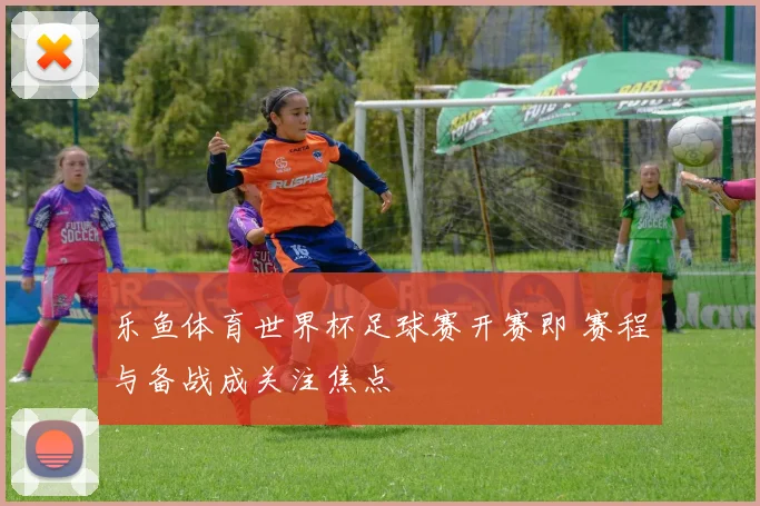 乐鱼体育世界杯足球赛开赛即 赛程与备战成关注焦点