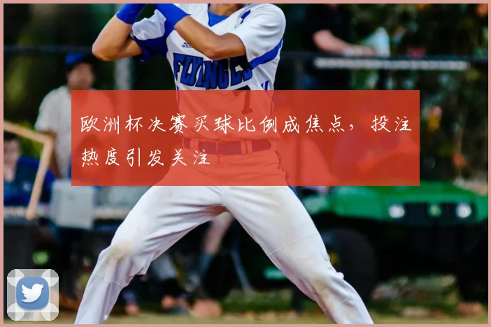 欧洲杯决赛买球比例成焦点,投注热度引发关注