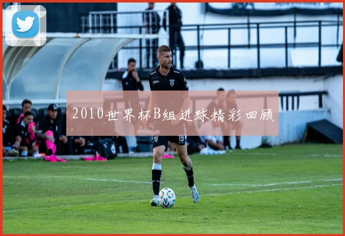 2010世界杯B组进球精彩回顾