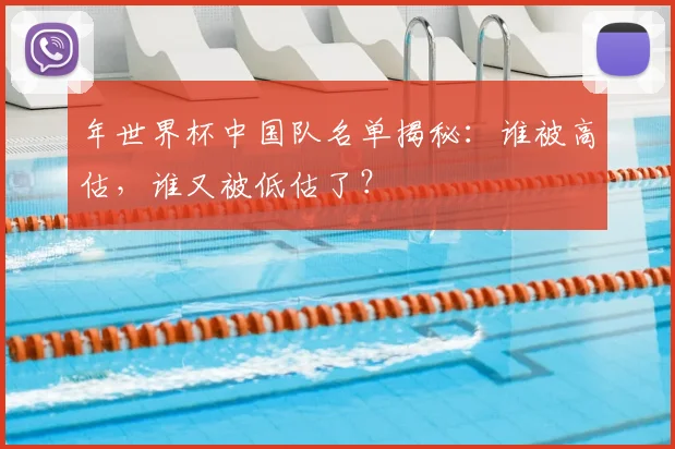 年世界杯中国队名单揭秘:谁被高估,谁又被低估了?