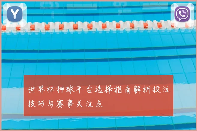 世界杯押球平台选择指南解析投注技巧与赛事关注点