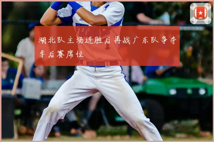 湖北队主场连胜后再战广东队争夺季后赛席位