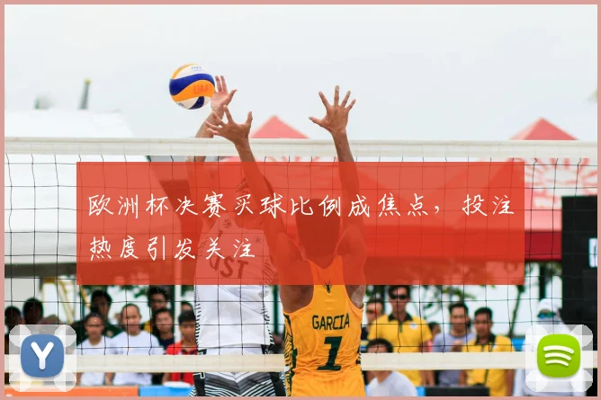 欧洲杯决赛买球比例成焦点,投注热度引发关注