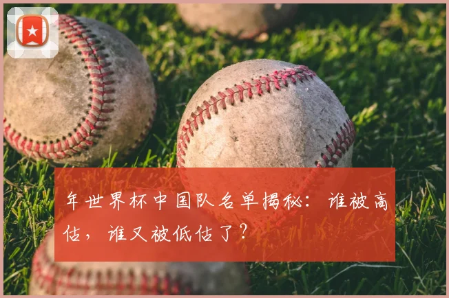 年世界杯中国队名单揭秘:谁被高估,谁又被低估了?