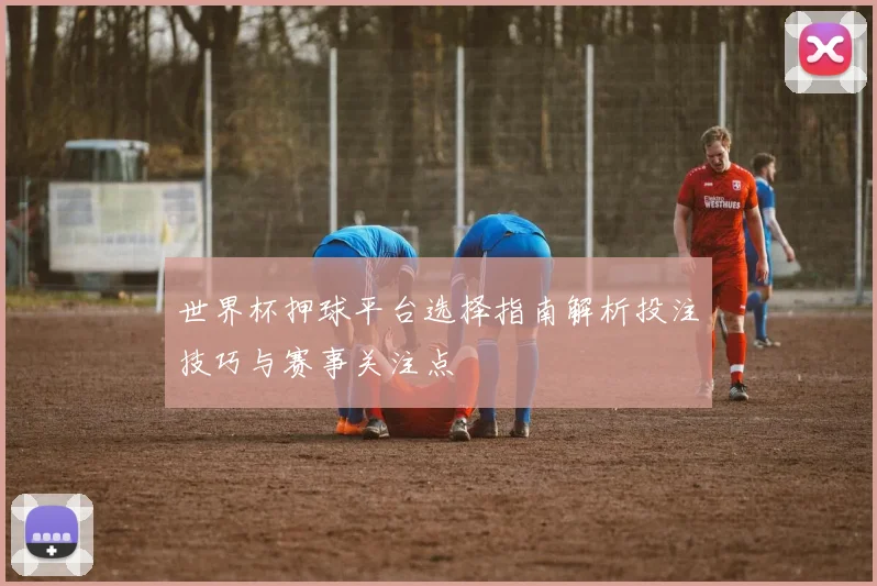 世界杯押球平台选择指南解析投注技巧与赛事关注点