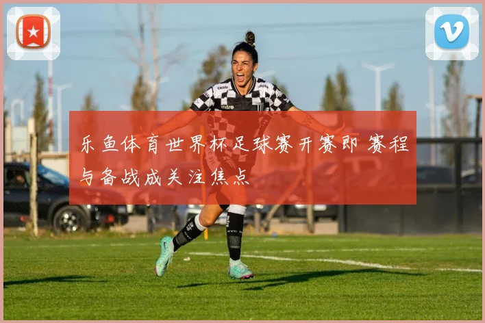 乐鱼体育世界杯足球赛开赛即 赛程与备战成关注焦点
