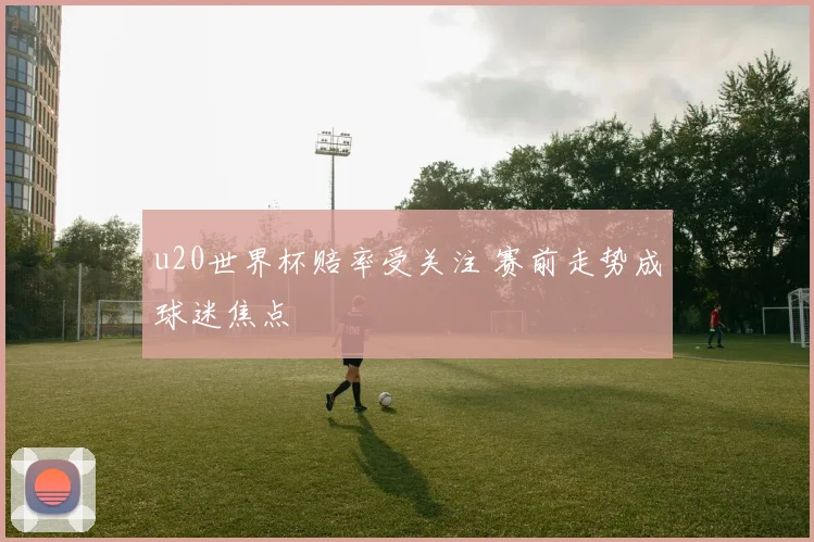u20世界杯赔率受关注 赛前走势成球迷焦点
