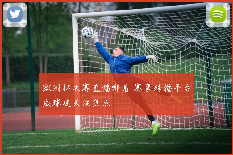欧洲杯决赛直播哪看 赛事转播平台成球迷关注焦点