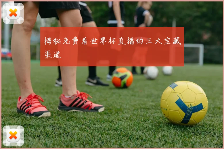 揭秘免费看世界杯直播的三大宝藏渠道