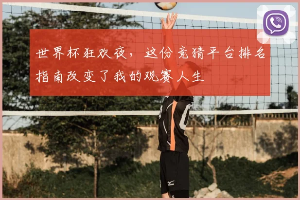 世界杯狂欢夜,这份竞猜平台排名指南改变了我的观赛人生