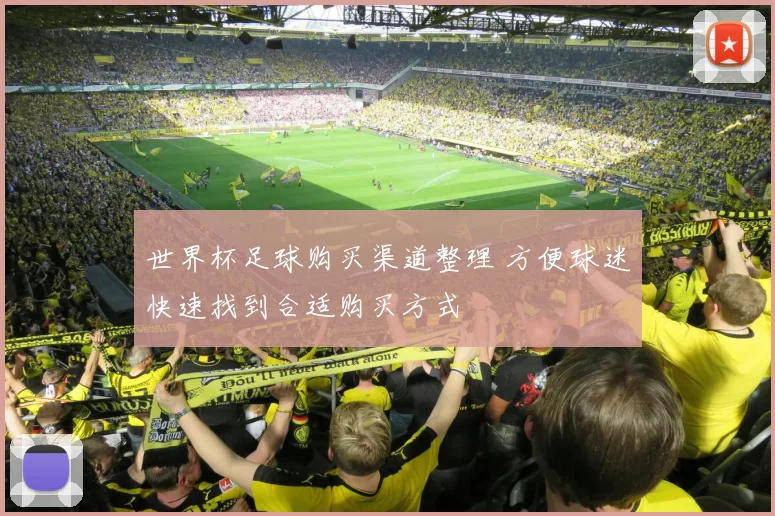世界杯足球购买渠道整理 方便球迷快速找到合适购买方式